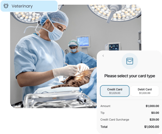 A veterinarian performs a medical procedure, with an overlay showing a high-value transaction, illustrating how our in-person payment solutions serve veterinary clinics.